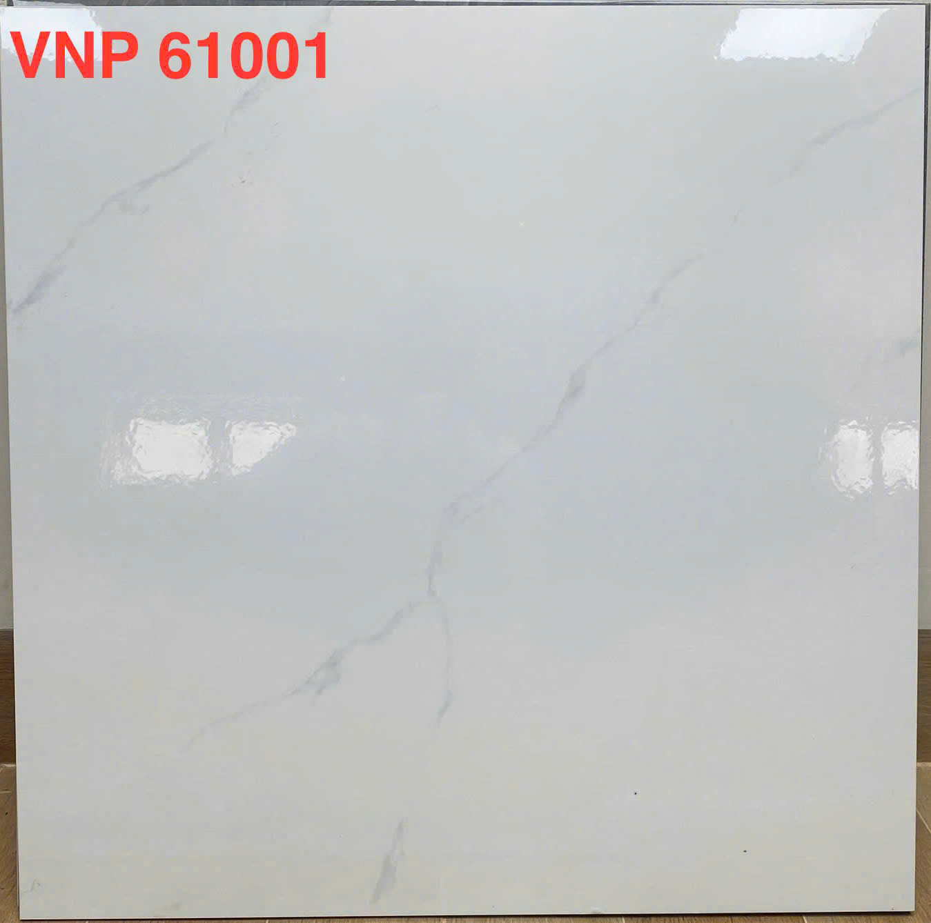 VNP 61001
