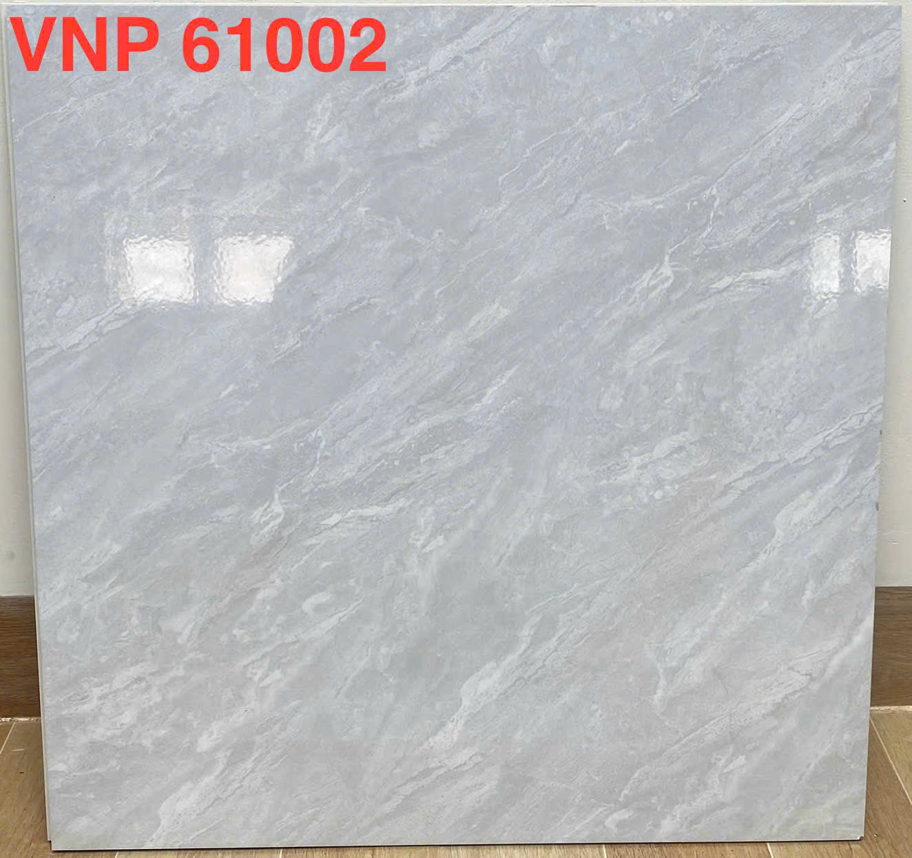 VNP 61002