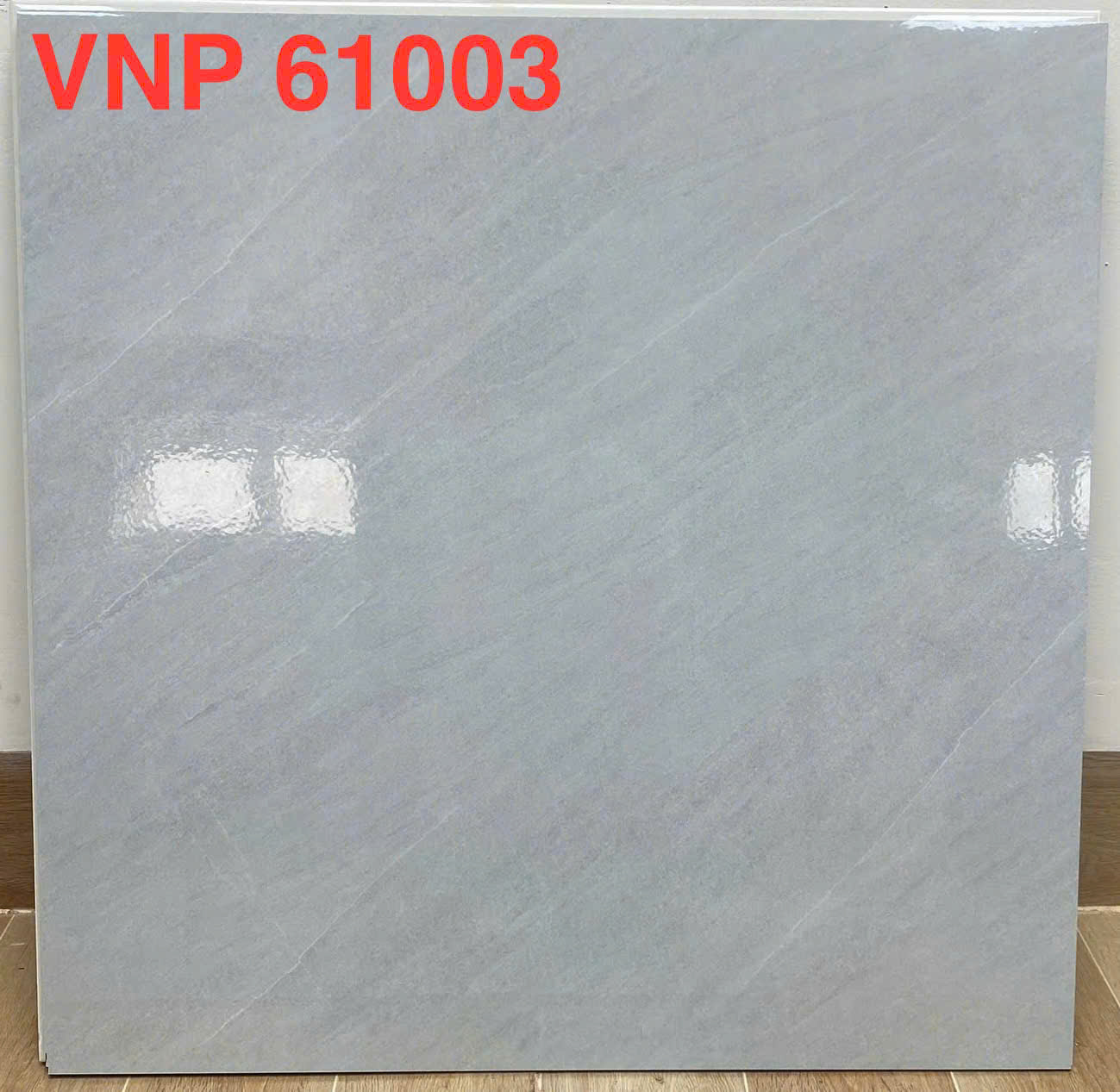 VNP 61003