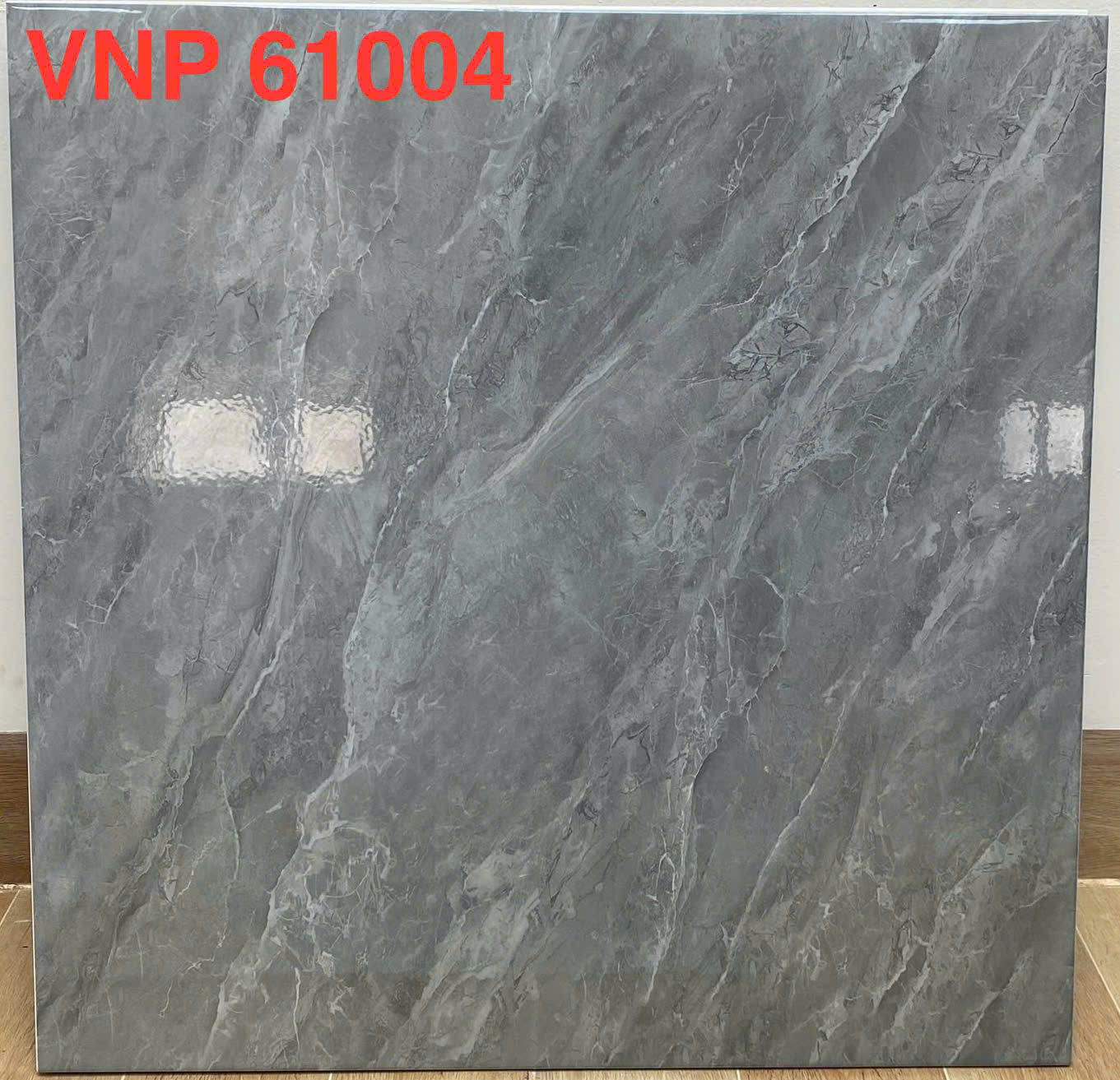 VNP 61004