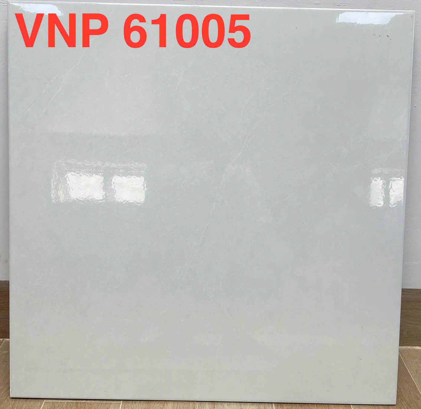 VNP 61005